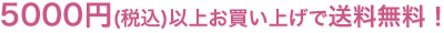 5000円(税込)以上お買い上げで送料無料！